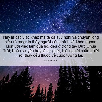 Picture 06 - Giảng Sư 9:1 VIE - Nầy là các việc khác mà ta đã suy nghĩ - Bible Verse Picture