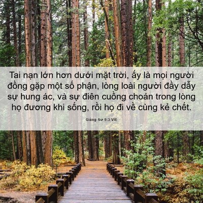 Picture 06 - Giảng Sư 9:3 VIE - Tai nạn lớn hơn dưới mặt trời, ấy - Bible Verse Picture