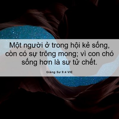 Picture 06 - Giảng Sư 9:4 VIE - Một người ở trong hội kẻ sống, còn - Bible Verse Picture