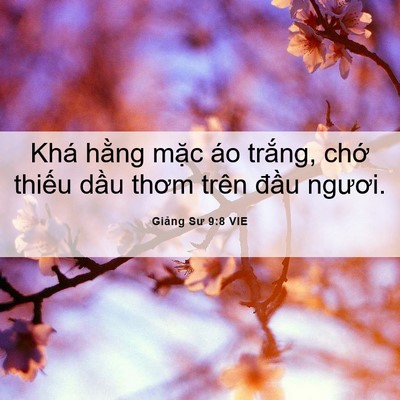 Picture 06 - Giảng Sư 9:8 VIE - Khá hằng mặc áo trắng, chớ thiếu - Bible Verse Picture