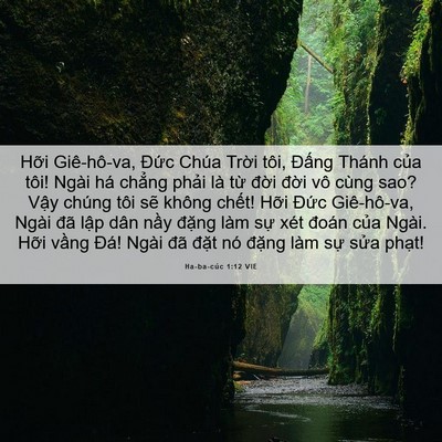 Picture 06 - Ha-ba-cúc 1:12 VIE - Hỡi Giê-hô-va, Đức Chúa Trời tôi, - Bible Verse Picture