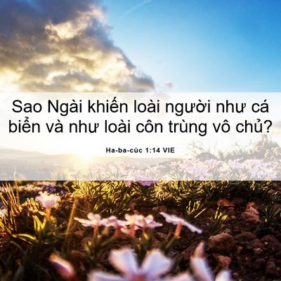 Picture 06 - Ha-ba-cúc 1:14 VIE - Sao Ngài khiến loài người như cá biển - Bible Verse Picture