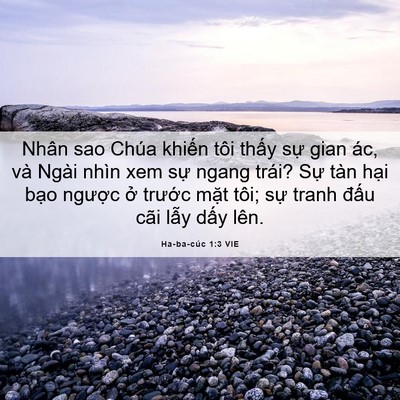 Picture 06 - Ha-ba-cúc 1:3 VIE - Nhân sao Chúa khiến tôi thấy sự gian - Bible Verse Picture