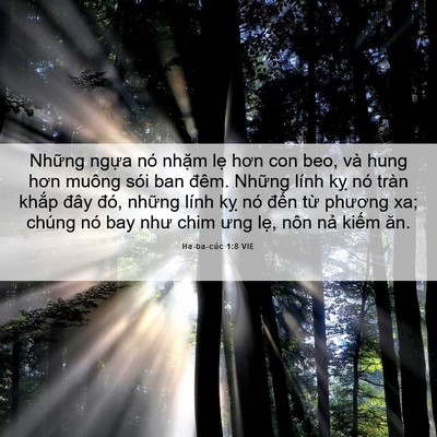 Picture 06 - Ha-ba-cúc 1:8 VIE - Những ngựa nó nhặm lẹ hơn con beo, và - Bible Verse Picture