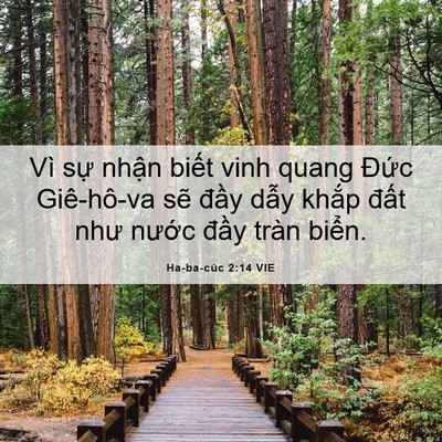 Picture 06 - Ha-ba-cúc 2:14 VIE - Vì sự nhận biết vinh quang Đức - Bible Verse Picture