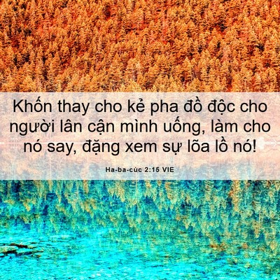 Picture 06 - Ha-ba-cúc 2:15 VIE - Khốn thay cho kẻ pha đồ độc cho - Bible Verse Picture