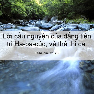 Picture 06 - Ha-ba-cúc 3:1 VIE - Lời cầu nguyện của đấng tiên tri - Bible Verse Picture