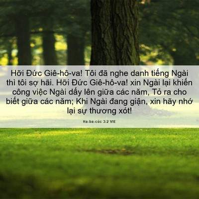Picture 06 - Ha-ba-cúc 3:2 VIE - Hỡi Đức Giê-hô-va! Tôi đã nghe danh - Bible Verse Picture