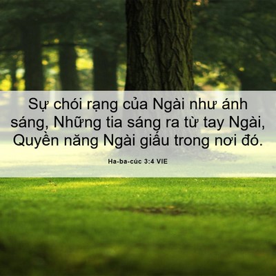 Picture 06 - Ha-ba-cúc 3:4 VIE - Sự chói rạng của Ngài như ánh sáng, - Bible Verse Picture