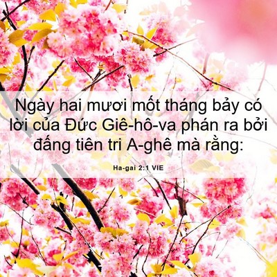 Picture 06 - Ha-gai 2:1 VIE - Ngày hai mươi mốt tháng bảy có lời - Bible Verse Picture