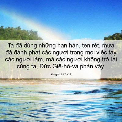 Picture 06 - Ha-gai 2:17 VIE - Ta đã dùng những hạn hán, ten rét, mưa - Bible Verse Picture