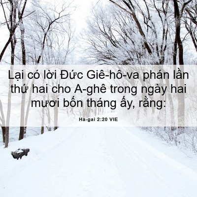 Picture 06 - Ha-gai 2:20 VIE - Lại có lời Đức Giê-hô-va phán lần - Bible Verse Picture