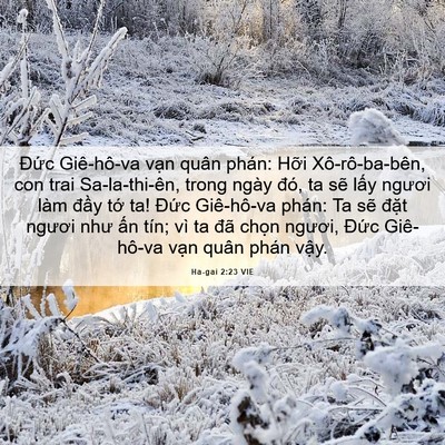 Picture 06 - Ha-gai 2:23 VIE - Đức Giê-hô-va vạn quân phán: Hỡi - Bible Verse Picture