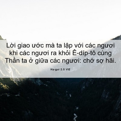 Picture 06 - Ha-gai 2:5 VIE - Lời giao ước mà ta lập với các ngươi - Bible Verse Picture