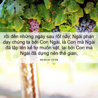 Picture 06 - Hê-bơ-rơ 1:2 VIE - rồi đến những ngày sau rốt nầy, Ngài - Bible Verse Picture