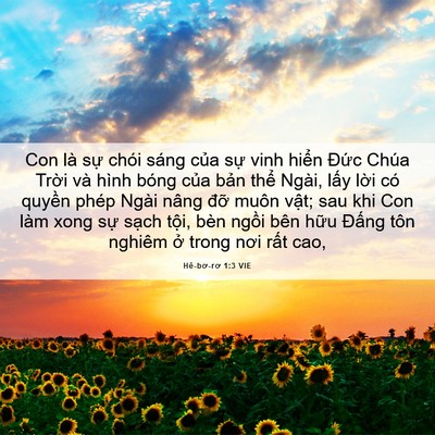 Picture 06 - Hê-bơ-rơ 1:3 VIE - Con là sự chói sáng của sự vinh hiển - Bible Verse Picture
