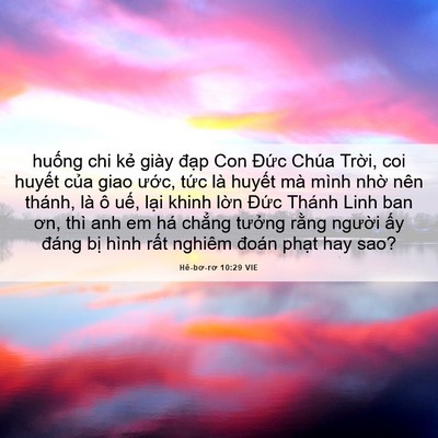 Picture 06 - Hê-bơ-rơ 10:29 VIE - huống chi kẻ giày đạp Con Đức Chúa - Bible Verse Picture