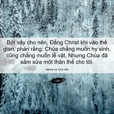Picture 06 - Hê-bơ-rơ 10:5 VIE - Bởi vậy cho nên, Đấng Christ khi vào - Bible Verse Picture