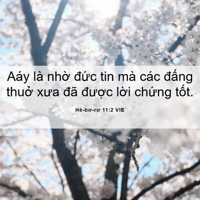 Picture 06 - Hê-bơ-rơ 11:2 VIE - Aáy là nhờ đức tin mà các đấng thuở - Bible Verse Picture