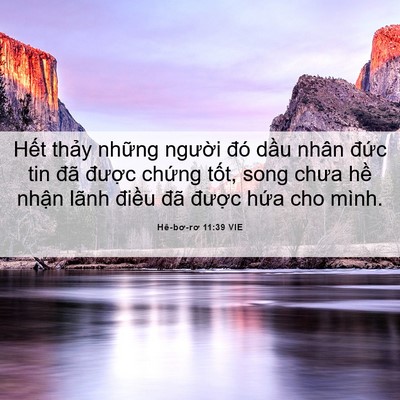 Picture 06 - Hê-bơ-rơ 11:39 VIE - Hết thảy những người đó dầu nhân - Bible Verse Picture