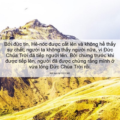Picture 06 - Hê-bơ-rơ 11:5 VIE - Bởi đức tin, Hê-nóc được cất lên - Bible Verse Picture