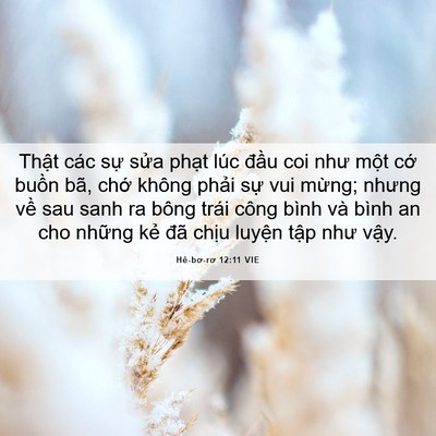 Picture 06 - Hê-bơ-rơ 12:11 VIE - Thật các sự sửa phạt lúc đầu coi - Bible Verse Picture