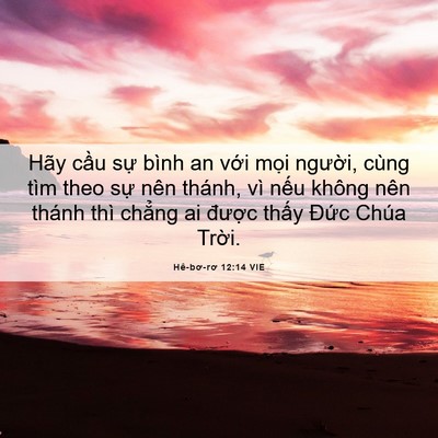 Picture 06 - Hê-bơ-rơ 12:14 VIE - Hãy cầu sự bình an với mọi người, - Bible Verse Picture
