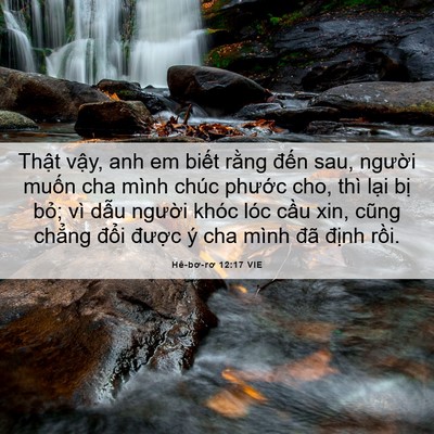Picture 06 - Hê-bơ-rơ 12:17 VIE - Thật vậy, anh em biết rằng đến sau, - Bible Verse Picture