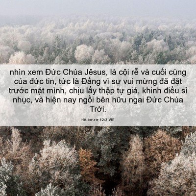 Picture 06 - Hê-bơ-rơ 12:2 VIE - nhìn xem Đức Chúa Jêsus, là cội rễ và - Bible Verse Picture