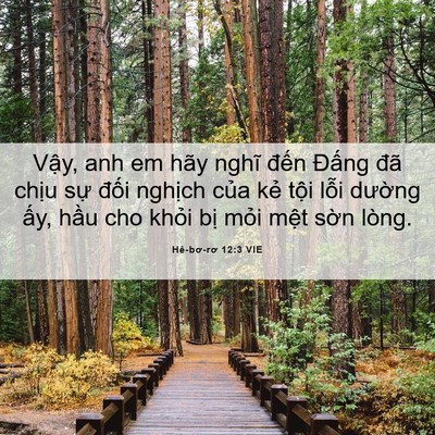 Picture 06 - Hê-bơ-rơ 12:3 VIE - Vậy, anh em hãy nghĩ đến Đấng đã - Bible Verse Picture
