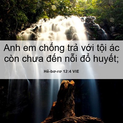 Picture 06 - Hê-bơ-rơ 12:4 VIE - Anh em chống trả với tội ác còn chưa - Bible Verse Picture