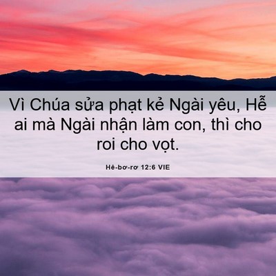 Picture 06 - Hê-bơ-rơ 12:6 VIE - Vì Chúa sửa phạt kẻ Ngài yêu, Hễ ai - Bible Verse Picture