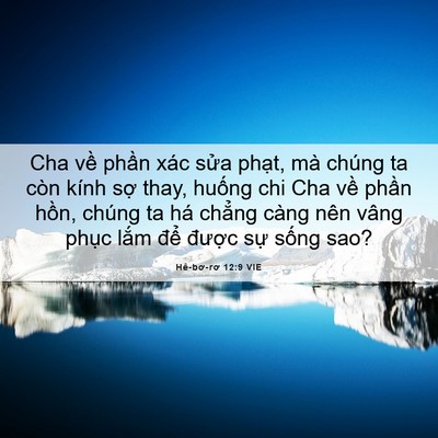 Picture 06 - Hê-bơ-rơ 12:9 VIE - Cha về phần xác sửa phạt, mà chúng ta - Bible Verse Picture