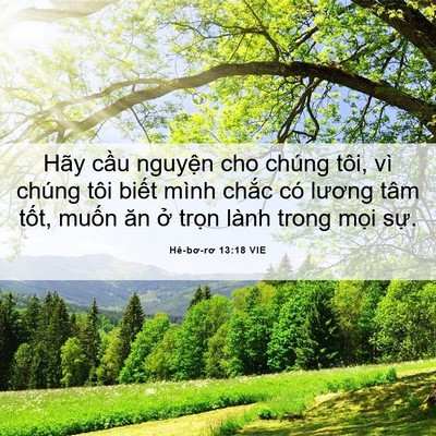 Picture 06 - Hê-bơ-rơ 13:18 VIE - Hãy cầu nguyện cho chúng tôi, vì chúng - Bible Verse Picture