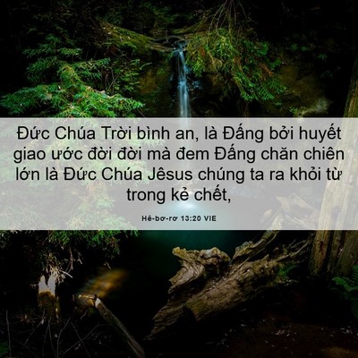 Picture 06 - Hê-bơ-rơ 13:20 VIE - Đức Chúa Trời bình an, là Đấng bởi - Bible Verse Picture