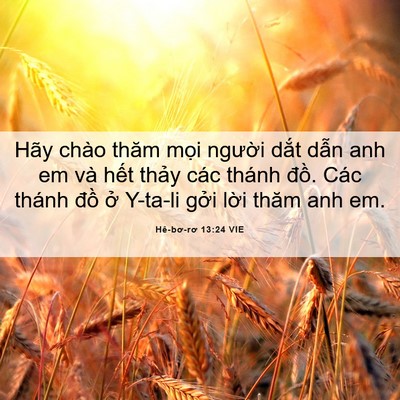 Picture 06 - Hê-bơ-rơ 13:24 VIE - Hãy chào thăm mọi người dắt dẫn anh - Bible Verse Picture