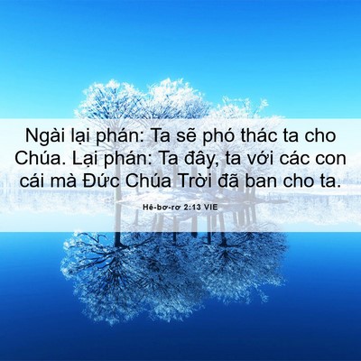 Picture 06 - Hê-bơ-rơ 2:13 VIE - Ngài lại phán: Ta sẽ phó thác ta cho - Bible Verse Picture