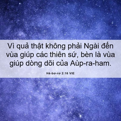 Picture 06 - Hê-bơ-rơ 2:16 VIE - Vì quả thật không phải Ngài đến vùa - Bible Verse Picture