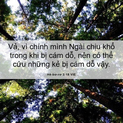 Picture 06 - Hê-bơ-rơ 2:18 VIE - Vả, vì chính mình Ngài chịu khổ trong - Bible Verse Picture