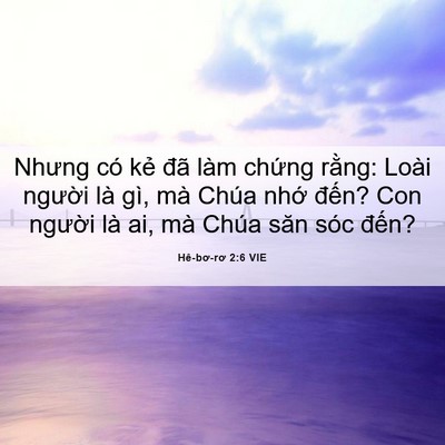 Picture 06 - Hê-bơ-rơ 2:6 VIE - Nhưng có kẻ đã làm chứng rằng: Loài - Bible Verse Picture