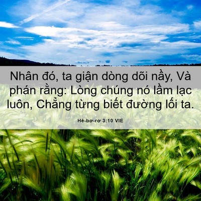 Picture 06 - Hê-bơ-rơ 3:10 VIE - Nhân đó, ta giận dòng dõi nầy, Và phán - Bible Verse Picture