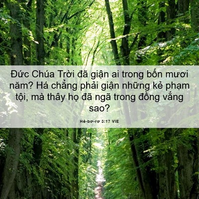 Picture 06 - Hê-bơ-rơ 3:17 VIE - Đức Chúa Trời đã giận ai trong bốn - Bible Verse Picture