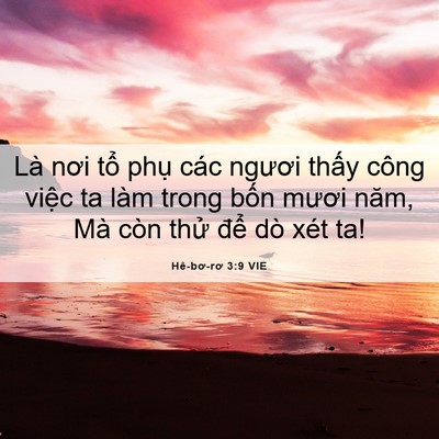 Picture 06 - Hê-bơ-rơ 3:9 VIE - Là nơi tổ phụ các ngươi thấy công - Bible Verse Picture