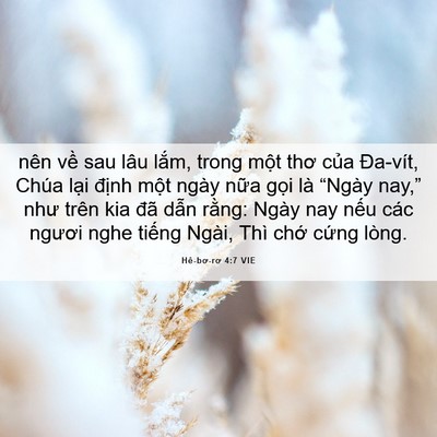 Picture 06 - Hê-bơ-rơ 4:7 VIE - nên về sau lâu lắm, trong một thơ của - Bible Verse Picture