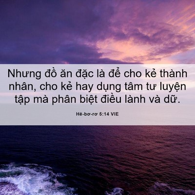 Picture 06 - Hê-bơ-rơ 5:14 VIE - Nhưng đồ ăn đặc là để cho kẻ thành - Bible Verse Picture