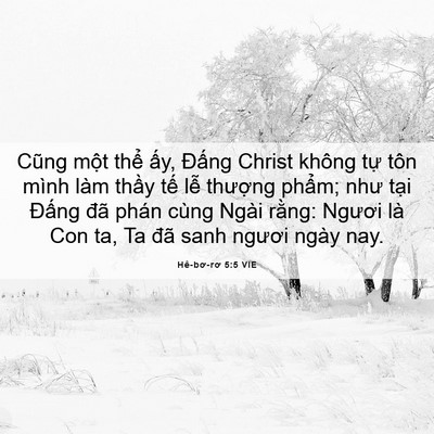 Picture 06 - Hê-bơ-rơ 5:5 VIE - Cũng một thể ấy, Đấng Christ không - Bible Verse Picture