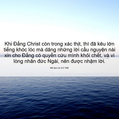Picture 06 - Hê-bơ-rơ 5:7 VIE - Khi Đấng Christ còn trong xác thịt, thì - Bible Verse Picture