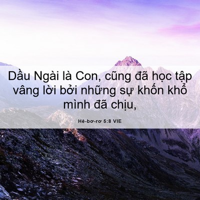 Picture 06 - Hê-bơ-rơ 5:8 VIE - Dầu Ngài là Con, cũng đã học tập vâng - Bible Verse Picture