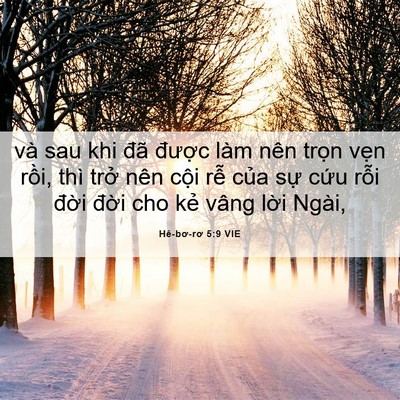 Picture 06 - Hê-bơ-rơ 5:9 VIE - và sau khi đã được làm nên trọn vẹn - Bible Verse Picture