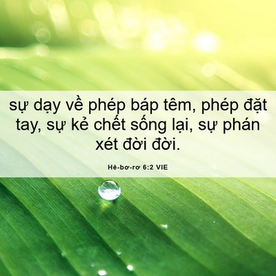 Picture 06 - Hê-bơ-rơ 6:2 VIE - sự dạy về phép báp têm, phép đặt - Bible Verse Picture
